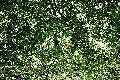 领英简历曝光《我的世界》当前收入与月活玩家状况