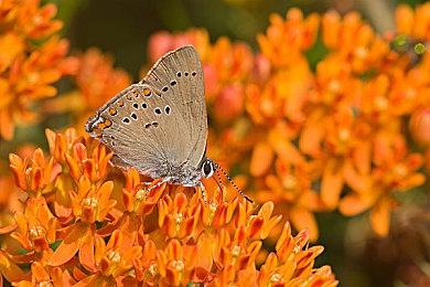 《使命召唤：战区2.0》新艺术图 更多信息近日公布