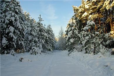 《索尼克狂欢》团队新作《佩妮大逃脱》公布预告片
