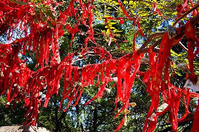 PS Portal更新 增加了对5GHz公共Wi-Fi网络支持